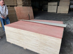 Read more about the article Hardwood Plywood