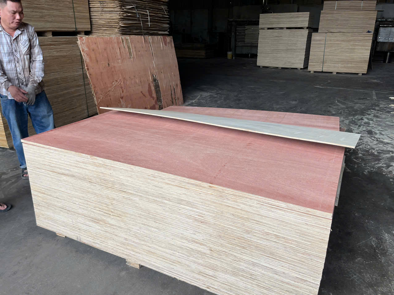 Read more about the article Hardwood Plywood
